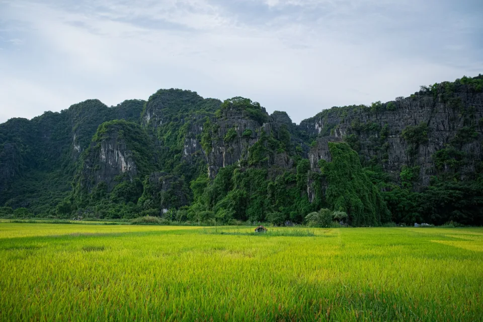 Kho gạo của Thùy Minh Châu